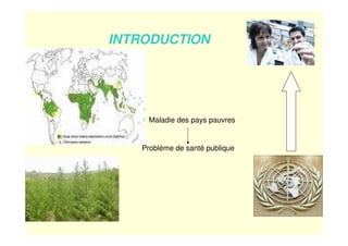 INTRODUCTION
Maladie des pays pauvres
Problème de santé publique
 