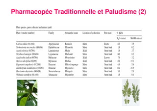 25
Pharmacopée Traditionnelle et Paludisme (2)
 