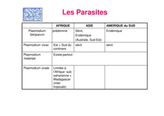 6
Les Parasites
Existe partoutPlasmodium
malariae
Limitée à
l’Afrique sub
saharienne +
Madagascar
(inter
tropicale)
Plasmodium ovale
sévitsévitEst + Sud du
continent
Plasmodium vivax
EndémiqueSévit,
Endémique
(Australe, Sud-Est)
prédominePlasmodium
falciparum
AMERIQUE du SUDASIEAFRIQUE
 