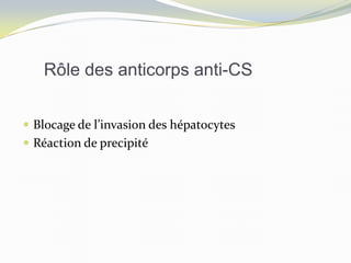 Rôle des anticorps anti-CS
 Blocage de l’invasion des hépatocytes
 Réaction de precipité
 