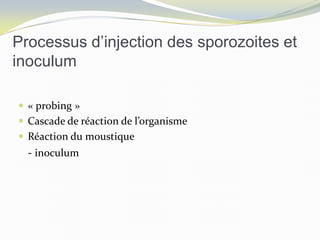 Processus d’injection des sporozoites et
inoculum
 « probing »
 Cascade de réaction de l’organisme
 Réaction du moustique
- inoculum
 
