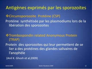 Antigènes exprimés par les sporozoites
Circumsporozoite Protéine (CSP)
Protéine synthétisée par les plasmodiums lors de la
libération des sporozoites
Trombospondin related Anonymous Protein
(TRAP)
Protein des sporozoites qui leur permettent de se
lier a des protéines des glandes salivaires de
l’anophèle
(Anil K. Ghosh et al;2009)
20/03/2009 Atelier Paludisme 2009 12
 