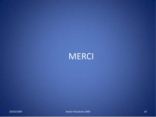 MERCI
20/03/2009 Atelier Paludisme 2009 18
 