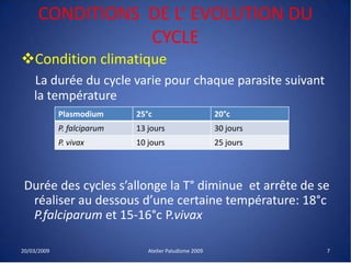 CONDITIONS DE L’ EVOLUTION DU
CYCLE
Condition climatique
La durée du cycle varie pour chaque parasite suivant
la température
Durée des cycles s’allonge la T° diminue et arrête de se
réaliser au dessous d’une certaine température: 18°c
P.falciparum et 15-16°c P.vivax
20/03/2009 Atelier Paludisme 2009
Plasmodium 25°c 20°c
P. falciparum 13 jours 30 jours
P. vivax 10 jours 25 jours
7
 