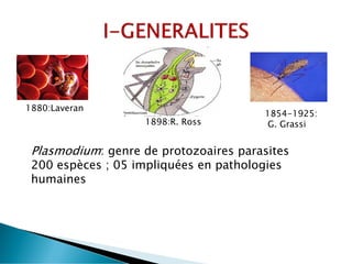1880:Laveran
1898:R. Ross
1854-1925:
G. Grassi
Plasmodium: genre de protozoaires parasites
200 espèces ; 05 impliquées en pathologies
humaines
 