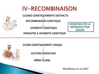 CLONES GENETIQUEMENTS DISTINCTS
RECOMBINAISON GENETIQUE
DIVERSITE GENETIQUE
AVANTAGE DE LA
REPRODUCTION
SEXUEE
CLONE GENETIQUEMENT UNIQUE
AUTOFECONDATION
MÊME CLONE
Mzilahowa et al.2007
PARASITES A DIVERSITE GENETIQUE
 