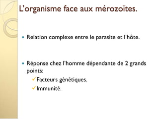 L’organisme face aux mérozoïtes.
 Relation complexe entre le parasite et l’hôte.
 Réponse chez l’homme dépendante de 2 grands
points:
Facteurs génétiques.
Immunité.
 