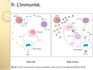 II- L’immunité.
Sujet naïf Sujet immun
Riley E, Is T-cell priming recquired for initiation of pathology in malaria infection? ImmunologyToday1999,20(5): 233-255.
 