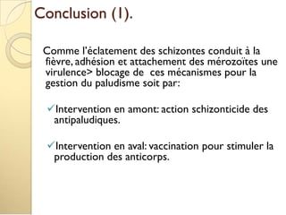Conclusion (1).
Comme l’éclatement des schizontes conduit à la
fièvre, adhésion et attachement des mérozoïtes une
virulence> blocage de ces mécanismes pour la
gestion du paludisme soit par:
Intervention en amont: action schizonticide des
antipaludiques.
Intervention en aval: vaccination pour stimuler la
production des anticorps.
 