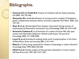 Bibliographie.
 Cowman A.F. et Crabb B.S. Invasion of red blood cells by malaria parasites,
Cell 2006 ,124: 755-766.
 Alexander D.L. et al. Identification of moving junction complex of Toxoplasma
gondii: a collaboration between distinct secretory organelle. PLoS Pathol 2005, 1(2):
137-149.
 Gaur D. et al., Parasite ligand host receptor interactions during invasion of
erythrocytes by Plasmodium merozoites. Int.J of Parasitology 2004, 34: 1413-1429.
 Artavanis-Tsakonas K. et al.Activation of a subset of human NK cells upon
contact with Plasmodium falciparum infected erythrocytes. The journal of
Immunology 2003, 171: 5396-5405.
 Luoni G. et al.Antimalarial antibody levels and IL-4 polymorphism in the Fulani
ofWest Africa. Genes and immunity 2001, 2: 411-414.
 Riley E. IsT-cell priming recquired for initiation of pathology in malaria infection?
ImmunologyToday 1999, 20(5): 233-255.
 Hill A.V. et al. Genetic analysis of host-parasite coevolution in human malaria.
Phil.Trans.R.Soc.Lond. 1997, 352: 1317-1325.
 