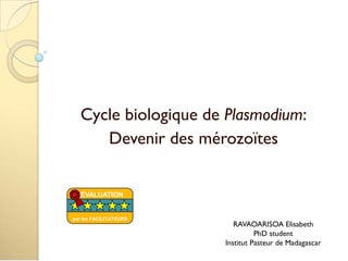 Cycle biologique de Plasmodium:
Devenir des mérozoïtes
RAVAOARISOA Elisabeth
PhD student
Institut Pasteur de Madagascar
EVALUATION
par les FACILITATEURS
 