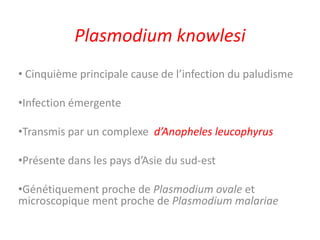 Plasmodium knowlesi
• Cinquième principale cause de l’infection du paludisme
•Infection émergente
•Transmis par un complexe d’Anopheles leucophyrus
•Présente dans les pays d’Asie du sud-est
•Génétiquement proche de Plasmodium ovale et
microscopique ment proche de Plasmodium malariae
 