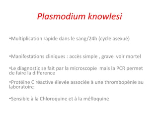 Plasmodium knowlesi
•Multiplication rapide dans le sang/24h (cycle asexué)
•Manifestations cliniques : accès simple , grave voir mortel
•Le diagnostic se fait par la microscopie mais la PCR permet
de faire la difference
•Protéine C réactive élevée associée à une thrombopénie au
laboratoire
•Sensible à la Chloroquine et à la méfloquine
 