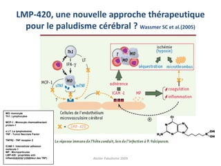 LMP-420, une nouvelle approche thérapeutique
pour le paludisme cérébral ? Wassmer SC et al.(2005)
MO: monocyte
Th1: Lymphocytes
MCP-1 : Monocyte chemoattractant
protein-1
α LT. La lymphotoxine
TNF : Tumor Necrosis Factor
TNFR2 : TNF receptor 2
ICAM-1: Intercellular adhesion
molecule 1
MP : Microparticules
LMP-420 : propriétés anti-
inflammatoires (inhibiteur des TNF)20/03/2009 Atelier Paludisme 2009
 