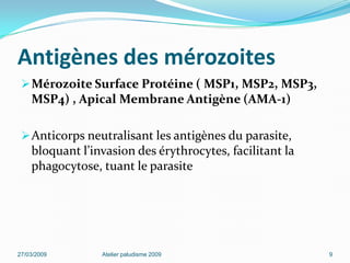 Antigènes des mérozoites
Mérozoite Surface Protéine ( MSP1, MSP2, MSP3,
MSP4) , Apical Membrane Antigène (AMA-1)
Anticorps neutralisant les antigènes du parasite,
bloquant l’invasion des érythrocytes, facilitant la
phagocytose, tuant le parasite
27/03/2009 Atelier paludisme 2009 9
 