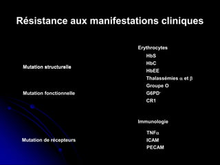 Résistance aux manifestations cliniques
Erythrocytes
Immunologie
Mutation structurelle
Mutation fonctionnelle
Groupe O
G6PD-
CR1
Erythrocytes
HbS
HbC
HbEE
Thalassémies α et β
Mutation structurelle
Mutation de récepteurs
TNFα
ICAM
PECAM
 