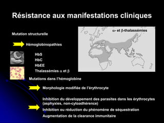 Résistance aux manifestations cliniques
Hémoglobinopathies
Mutation structurelle
Mutations dans l’hémoglobine
Morphologie modifiée de l’érythrocyte
HbS
HbC
HbEE
Thalassémies α et β
α- et β-thalassémies
Inhibition du développement des parasites dans les érythrocytes
(asphyxies, non-cytoadhérence)
Augmentation de la clearance immunitaire
Inhibition ou réduction du phénomène de séquestration
α- et β-thalassémies
 