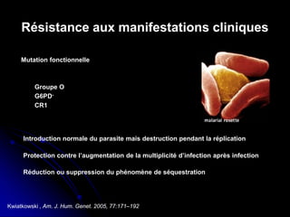 Résistance aux manifestations cliniques
Mutation fonctionnelle
Groupe O
G6PD-
CR1
Introduction normale du parasite mais destruction pendant la réplication
Protection contre l’augmentation de la multiplicité d’infection après infection
Réduction ou suppression du phénomène de séquestration
Kwiatkowski , Am. J. Hum. Genet. 2005, 77:171–192
 