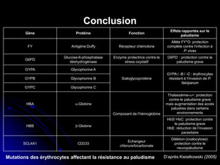 Conclusion
D’après Kwiatkowski (2005)
Gène Protéine Fonction
Effets rapportés sur le
paludisme
FY Antigène Duffy Récepteur chémokine
Allèle FY*O: protection
complète contre l’infection à
P. vivax
G6PD
Glucose-6-phosphatase
déshydrogénase
Enzyme protectrice contre le
stress oxydatif
G6PD- : protection contre le
paludisme grave
GYPA Glycophorine A
Sialoglycoprotéine
GYPA-/ -B-/ -C-: érythrocytes
résistant à l’invasion de P.
falciparum
GYPB Glycophorine B
GYPC Glycophorine C
HBA α-Globine
Composant de l’hémoglobine
Thalassémie-α+: protection
contre le paludisme grave
mais augmentation des accès
palustres dans certains
environnements
HBB β-Globine
HbS/ HbC: protection contre
le paludisme grave
HbE: réduction de l’invasion
parasitaire
SCL4A1 CD233
Echangeur
chlorure/bicarbonate
Délétion (ovalocytose):
protection contre le
neuropaludisme
Mutations des érythrocytes affectant la résistance au paludisme
 