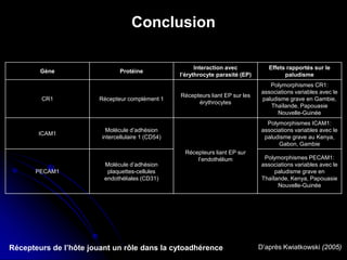 Conclusion
D’après Kwiatkowski (2005)Récepteurs de l’hôte jouant un rôle dans la cytoadhérence
Gène Protéine
Interaction avec
l’érythrocyte parasité (EP)
Effets rapportés sur le
paludisme
CR1 Récepteur complément 1
Récepteurs liant EP sur les
érythrocytes
Polymorphismes CR1:
associations variables avec le
paludisme grave en Gambie,
Thaïlande, Papouasie
Nouvelle-Guinée
ICAM1
Molécule d’adhésion
intercellulaire 1 (CD54)
Récepteurs liant EP sur
l’endothélium
Polymorphismes ICAM1:
associations variables avec le
paludisme grave au Kenya,
Gabon, Gambie
PECAM1
Molécule d’adhésion
plaquettes-cellules
endothéliales (CD31)
Polymorphismes PECAM1:
associations variables avec le
paludisme grave en
Thaïlande, Kenya, Papouasie
Nouvelle-Guinée
 