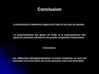 Conclusion
Le phénomène d’adhérence dépend de l’hôte et non pas du parasite
Le polymorphisme des gènes de l’hôte et le polymorphisme des
gènes du parasites entraînent une grande complexité d’interactions
Coévolution
Les différentes hémoglobinopathies et autres mutations ne sont pas
essentiels à la survie dans les zones palustres mais sont favorables
 