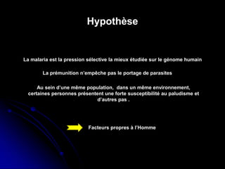 Hypothèse
Au sein d’une même population, dans un même environnement,
certaines personnes présentent une forte susceptibilité au paludisme et
d’autres pas .
Facteurs propres à l’Homme
La malaria est la pression sélective la mieux étudiée sur le génome humain
La prémunition n’empêche pas le portage de parasites
 