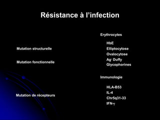 Résistance à l’infection
Erythrocytes
Immunologie
Mutation structurelle
Mutation de récepteurs
Mutation fonctionnelle
HbE
Elliptocytose
Ovalocytose
HLA-B53
IL-4
Chr5q31-33
IFN-γ
Ag- Duffy
Glycophorines
 