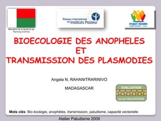 Angela N. RAHANITRARINIVO
MADAGASCAR
Atelier Paludisme 2009
BIOECOLOGIE DES ANOPHELES
ET
TRANSMISSION DES PLASMODIES
Mots clés: Bio écologie, anophèles, transmission, paludisme, capacité vectorielle
Ministère de la Santé et du
Planning Familial
EVALUATION
par les FACILITATEURS
 