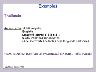 Exemples
Thaïlande:
An. maculatus: plutôt zoophile
Exophile
Longévité courte 1,6 à 6,6 j
0,28% infectées par oocystes
Pas de sporozoïtes détectés dans les glandes salivaires
TAUX D’INFECTION PAR LE PALUDISME NATUREL TRÈS FAIBLE
Upatham et al. 1988
 