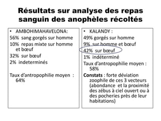 Résultats sur analyse des repas
sanguin des anophèles récoltés
• AMBOHIMAHAVELONA:
56% sang gorgés sur homme
10% repas mixte sur homme
et bœuf
32% sur bœuf
2% indeterminés
Taux d’antropophilie moyen :
64%
• KALANDY :
49% gorgés sur homme
9% sur homme et bœuf
42% sur bœuf
1% indéterminé
Taux d’antropophilie moyen :
58%
Constats : forte déviation
zoophile de ces 3 vecteurs
(abondance et la proximité
des zébus à ciel ouvert ou à
des pocheries près de leur
habitations)
 