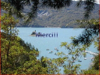 Plasmodium-Anopheles: les anophèles non-vecteurs