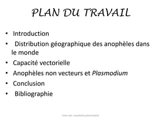 PLAN DU TRAVAIL
• Introduction
• Distribution géographique des anophèles dans
le monde
• Capacité vectorielle
• Anophèles non vecteurs et Plasmodium
• Conclusion
• Bibliographie
mots-clés :anopheles,plasmoduim
 