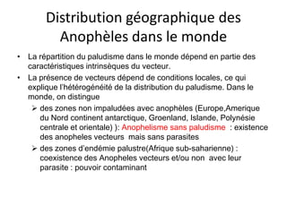 Distribution géographique des
Anophèles dans le monde
• La répartition du paludisme dans le monde dépend en partie des
caractéristiques intrinsèques du vecteur.
• La présence de vecteurs dépend de conditions locales, ce qui
explique l’hétérogénéité de la distribution du paludisme. Dans le
monde, on distingue
 des zones non impaludées avec anophèles (Europe,Amerique
du Nord continent antarctique, Groenland, Islande, Polynésie
centrale et orientale) ): Anophelisme sans paludisme : existence
des anopheles vecteurs mais sans parasites
 des zones d’endémie palustre(Afrique sub-saharienne) :
coexistence des Anopheles vecteurs et/ou non avec leur
parasite : pouvoir contaminant
 