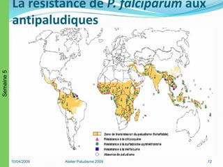 La résistance de P. falciparum aux
antipaludiques
10/04/2009 Atelier Paludisme 2009 12
Semaine5
 