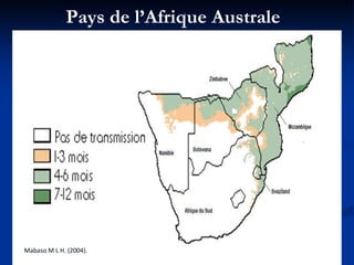 Pays de l’Afrique Australe
Mabaso M L H. (2004).
 