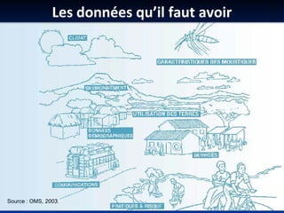 Les données qu’il faut avoir
Source : OMS, 2003.
 