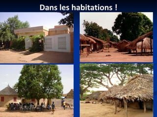 Dans les habitations !
 