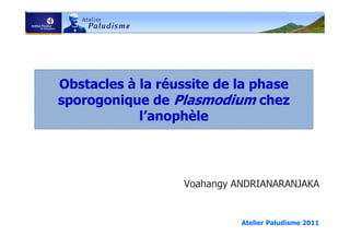 Obstacles à la réussite de la phase
sporogonique de Plasmodium chez
l’anophèle
Voahangy ANDRIANARANJAKA
Atelier Paludisme 2011
 