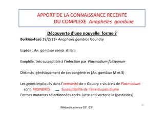 APPORT DE LA CONNAISSANCE RECENTE
DU COMPLEXE Anopheles gambiae
Découverte d'une nouvelle forme ?
Burkina-Faso:18/2/11= Anopheles gambiae Goundry
Espèce : An. gambiae senso strictu
Exophile, très susceptible à l’infection par Plasmodium falciparum
Distincts génétiquement de ses congénères (An. gambiae M et S)
Les gènes impliqués dans l’immunité de « Goudry » vis-à-vis de Plasmodium
sont MOINDRES Susceptibilité de faire du paludisme
Formes mutantes sélectionnées après lutte anti vectorielle (pesticides)
10
Wikipedia;science 331 :211
 