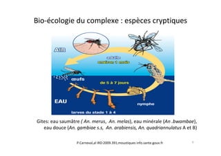 Bio-écologie du complexe : espèces cryptiques
Gites: eau saumâtre ( An. merus, An. melas), eau minérale (An .bwambae),
eau douce (An. gambiae s.s, An. arabiensis, An. quadriannulatus A et B)
P.Carneval,al IRD:2009.391;moustiques info.sante.gouv.fr 9
 