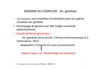 GENOME DU COMPLEXE An. gambiae
• 150 marqueurs microsatellites (nucléotides) pour les espèces
complexe An. gambiae
• Genot...