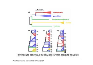 DIVERGENCE GENETIQUE AU SEIN DES ESPECES GAMBIAE COMPLEX
M.K.N.Lawniczak,al .Science2010 6OO3:512-514
7
 