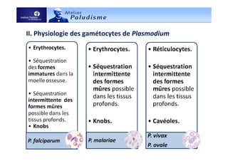 II. Physiologie des gamétocytes de Plasmodium
 