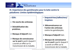 III. Importance des gamétocytes pour la lutte contre le
paludisme: Limites épidémiologiques
18/03/2011 Gamétocytes de Plasmodium 15
• Sequestrines/adhesines/
tropines:
Méconnaissance sur
l’action des anticorps
contre les gamétocytes.
Manque d’objectif clair.
Manque de connaissance
sur le seuil à partir duquel il
y aurait un effet sur la
transmission de la maladie.
• GSA:
Vie courte des anticorps.
Déstabilisation des
protéines.
Manque d’objectif clair.
Manque de connaissance
sur le seuil à partir duquel il
y aurait un effet sur la
transmission de la maladie.
 