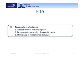 Plan
I. Introduction
1. Définition
2. Rôle dans le cycle de vie de Plasmodium (formation)
II. Taxonomie et physiologie
1. Caractéristiques morphologiques
2. Processus de maturation des gamétocytes
3. Physiologie et mécanismes de survie
III. Importance pour la lutte contre le paludisme
1. Importance moléculaire
2. Importance épidémiologique
IV. Conclusion
18/03/2011 6Gamétocytes de Plasmodium
 