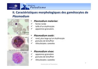 • Plasmodium malariae:
forme ronde
taille d’un érythrocyte
apparence granulaire.
• Plasmodium ovale:
rond, plus large qu’un érythrocyte
granules de Schuffner
réticulocytes: caveoles
• Plasmodium vivax:
apparence granulaire
granules de Schuffner
réticulocytes: caveoles
II. Caractéristiques morphologiques des gamétocytes de
Plasmodium
18/03/2011 9
Gamétocytes de Plasmodium
P. malariae
P. ovale
P. vivax
 