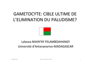 GAMETOCYTE: CIBLE ULTIME DE
L’ELIMINATION DU PALUDISME?
Lalasoa NIAIN’NY FELAMBOAHANGY
Université d’Antananarivo-MADAGASCAR
1Atelier paludisme 201118/03/2011
 