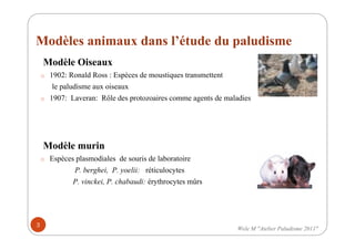 Modèles animaux dans l’étude du paludisme
Modèle Oiseaux
o 1902: Ronald Ross : Espèces de moustiques transmettent
le paludisme aux oiseaux
o 1907: Laveran: Rôle des protozoaires comme agents de maladies
Modèle murin
o Espèces plasmodiales de souris de laboratoire
P. berghei, P. yoelii: réticulocytes
P. vinckei, P. chabaudi: érythrocytes mûrs
3
Wele M "Atelier Paludisme 2011"
 