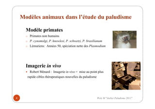Modèles animaux dans l’étude du paludisme
Modèle primates
o Primates non humains
o P. cynomolgi, P. knowlesi, P. schwetzi, P. brasilianum
o Lémuriens: Années 50, spéciation nette des Plasmodium
Imagerie in vivo
Robert Ménard : Imagerie in vivo = mise au point plus
rapide cibles thérapeutiques nouvelles du paludisme
Wele M "Atelier Paludisme 2011"4
 