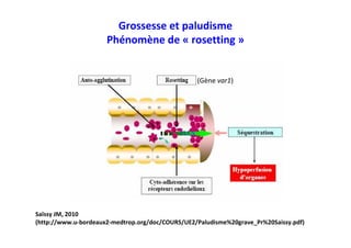 Grossesse et paludisme
Phénomène de « rosetting »
Saïssy JM, 2010
(http://www.u-bordeaux2-medtrop.org/doc/COURS/UE2/Paludisme%20grave_Pr%20Saissy.pdf)
(Gène var1)
 